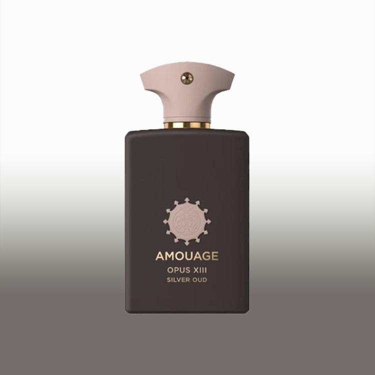 عطر ادکلن آمواج سیلور عود